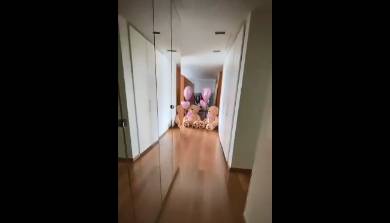 你很会啊！库鸟给妻子准备的惊喜