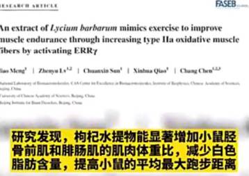 现在知道为啥维金斯要喝枸杞了 这就是科学依据！